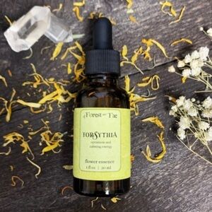 NEW! Of Forest And Fae Optimism - Forsythia Flower Essence